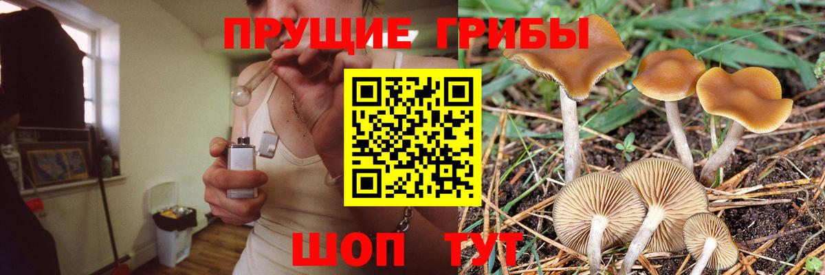 Дербент  Галлюциногенные грибы прущие грибы  Вход с VPN 